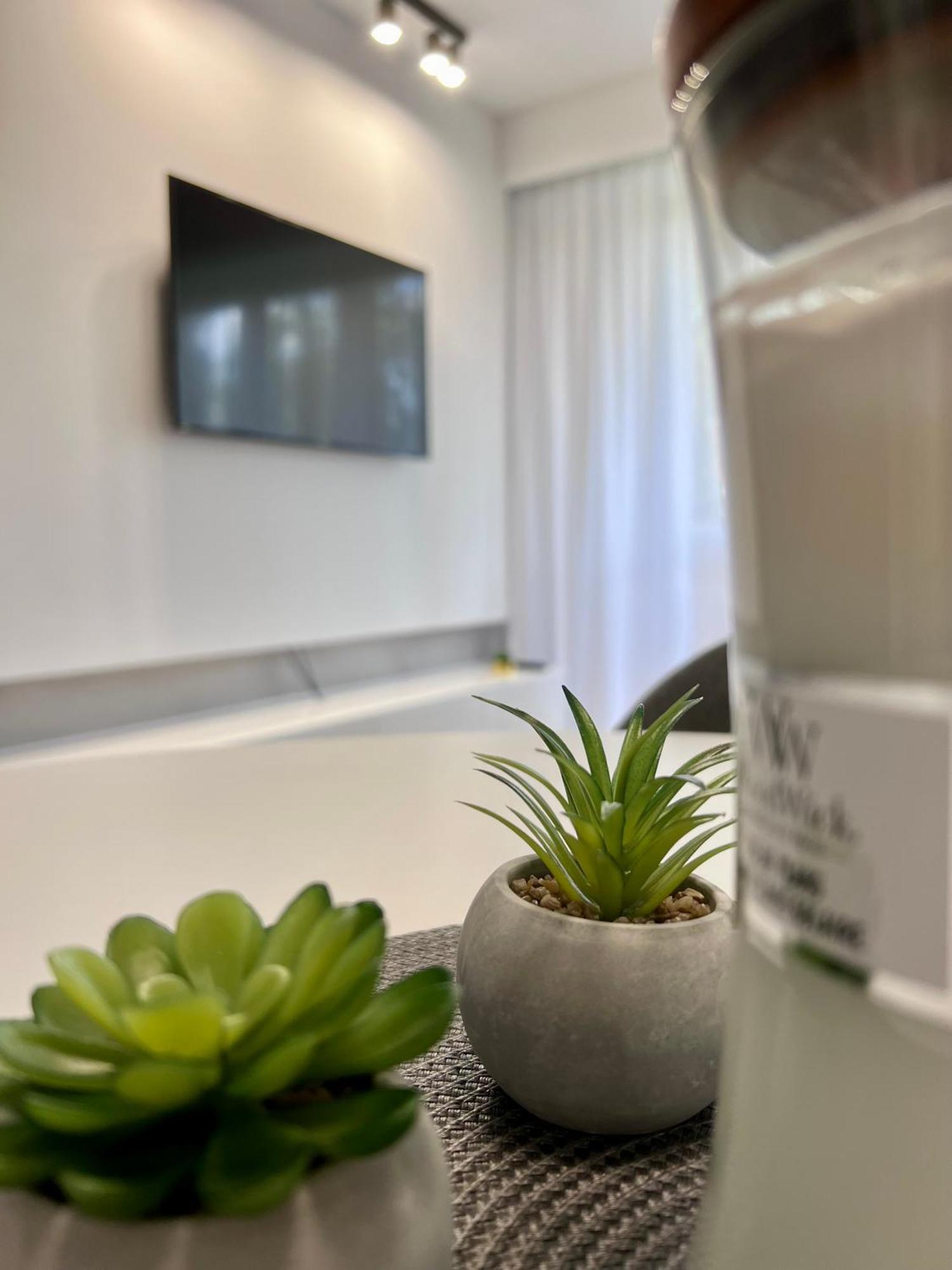 M&S Lux Apartments Kochanowskiego 우치 외부 사진